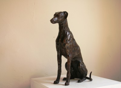 Sitting Greyhound / Lurcher