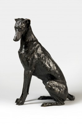 Sitting Greyhound-Lurcher 