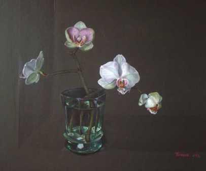 TOBIAS HARRISON - orchid phalaenopsis in a glass