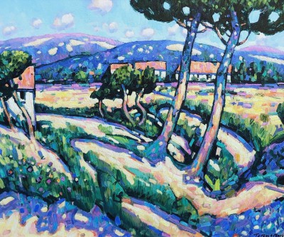 TERENCE CLARKE - wild pines, provence