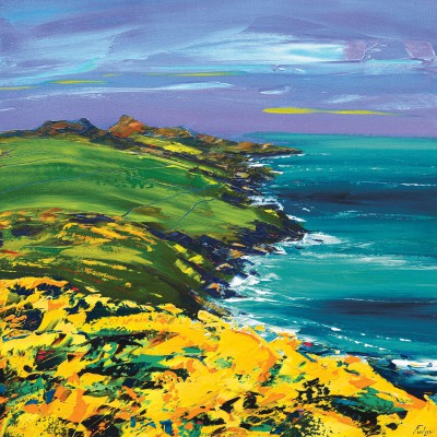 Carn Llidi Horizon, St Davids