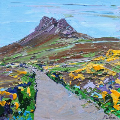 The Road to Stac Pollaidh, Sutherland