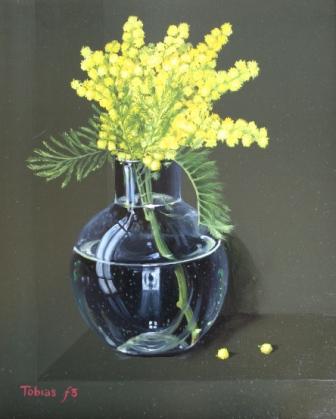 TOBIAS HARRISON - mimosa d'antibes