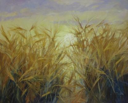 TOM WANLESS - edge of the field at sunrise