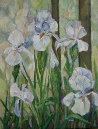 TOM WANLESS - white irises and flemish glass