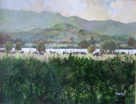 TOM WANLESS - peaceful speyside