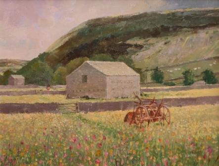 Meadows in Swaledale