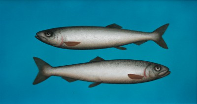 Scottish Artist DONALD PROVAN - Brace of Silver