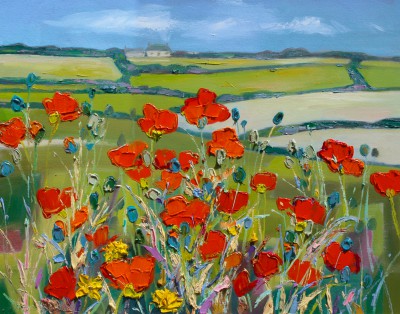 Poppies Near Mullion Cove, Cornwall